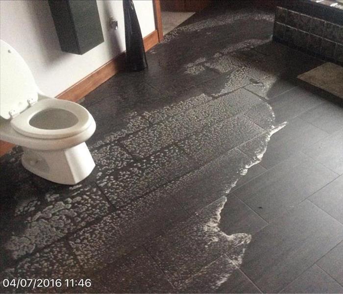 Dried sewage on the dark brown bathroom tile floor