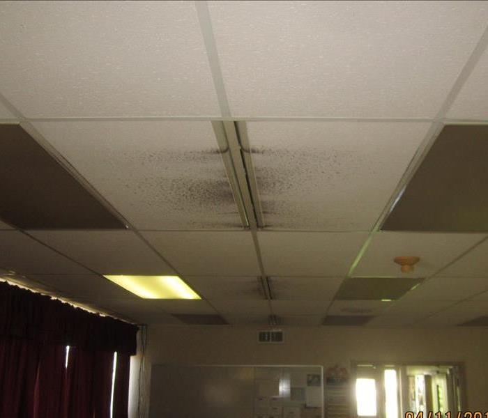 Mold and dirt on ceiling tile by vent