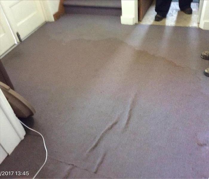 Gray carpet with dark gray water spot 
