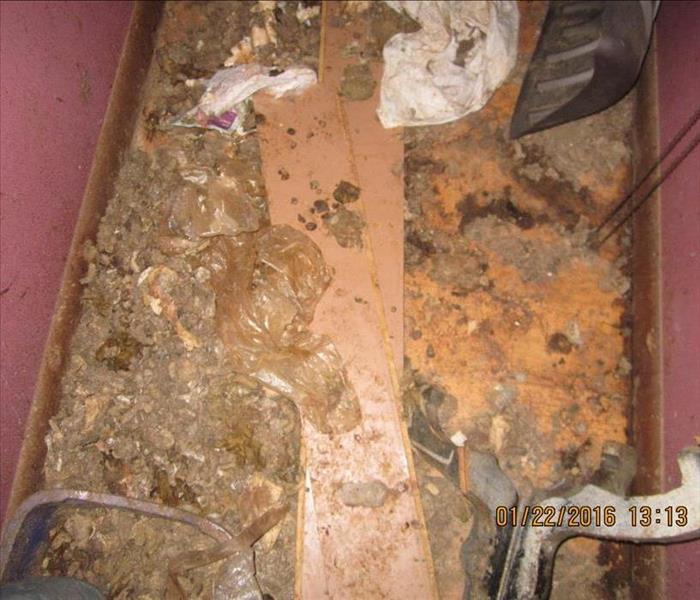 Animal waste, dirty insulation and wood boards