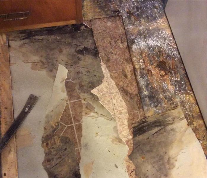 Brown kitchen flooring ripped up with mold underneath